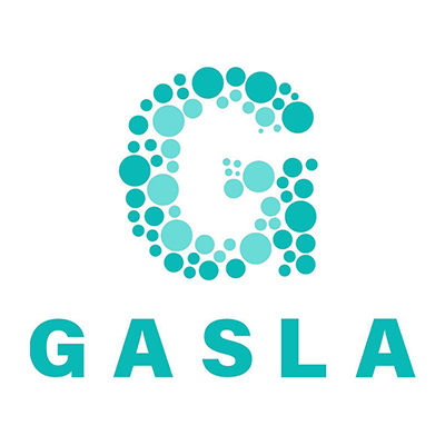 Gasla Car Washing
