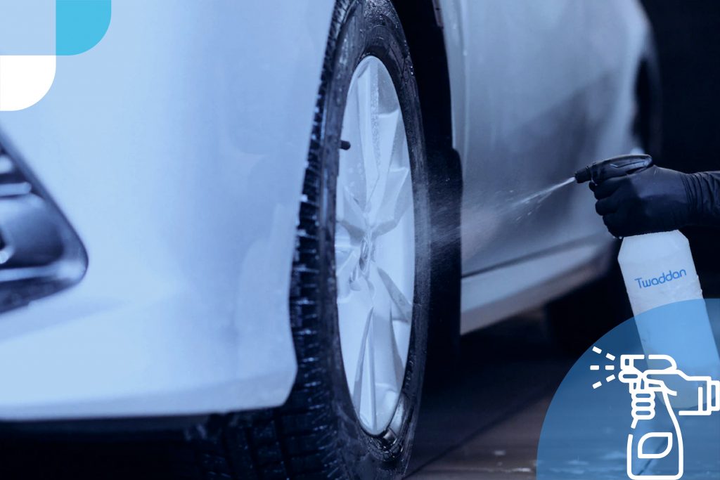 Car Sanitization